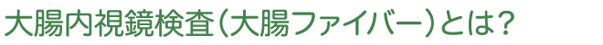 大腸内視鏡検査（大腸ファイバー）とは？